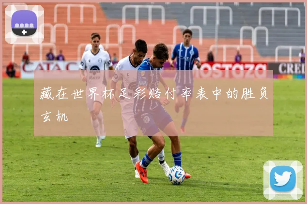 藏在世界杯足彩赔付率表中的胜负玄机